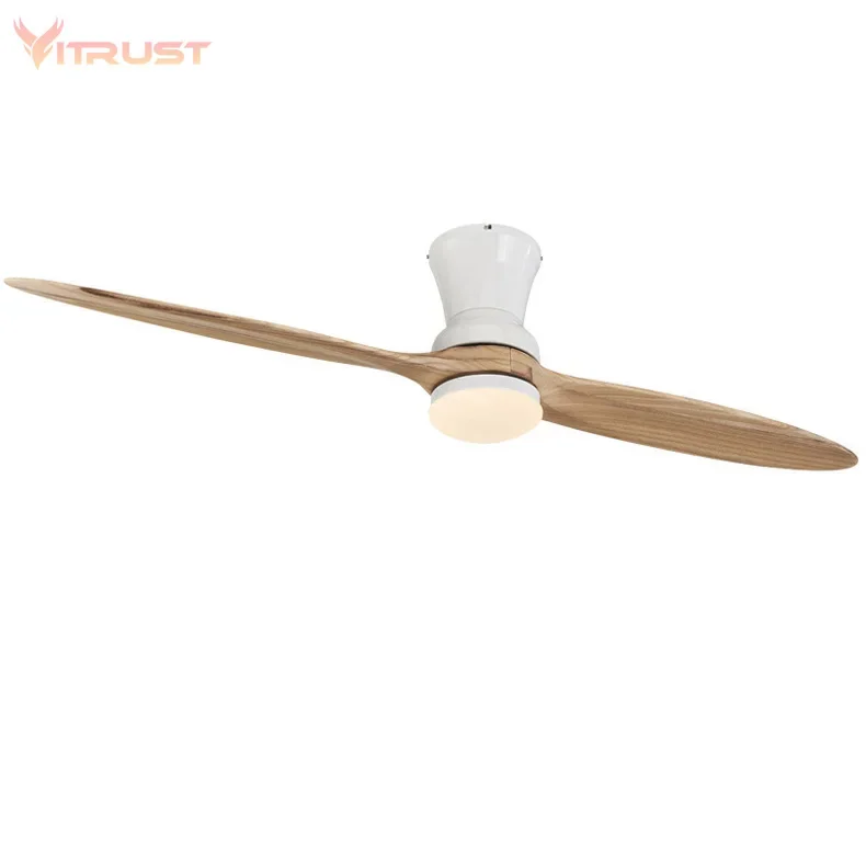 Two-Blade Indoor Ceiling Fan Dimmable with LED Light Kit For home use 60 inch Ceiling fan, led ceiling fan lights