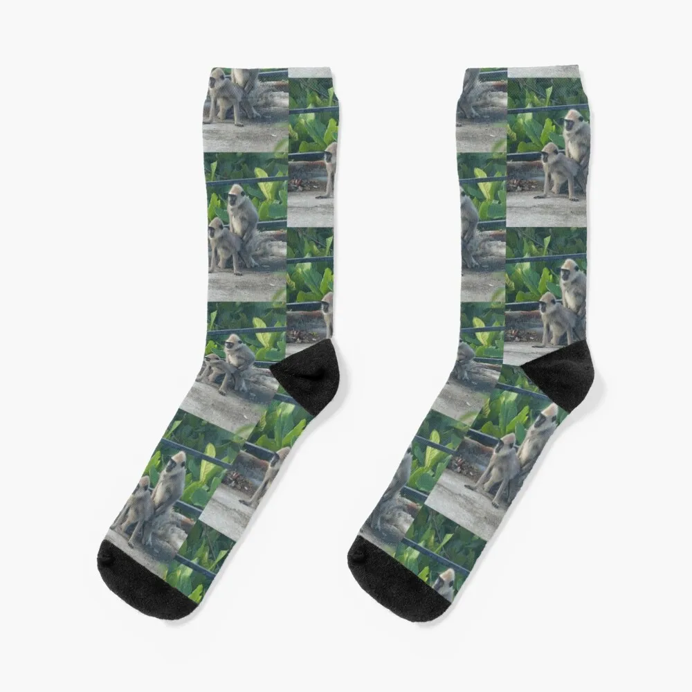 

Humping monkeys Socks anime Argentina halloween christmas stocking Socks Women Men's