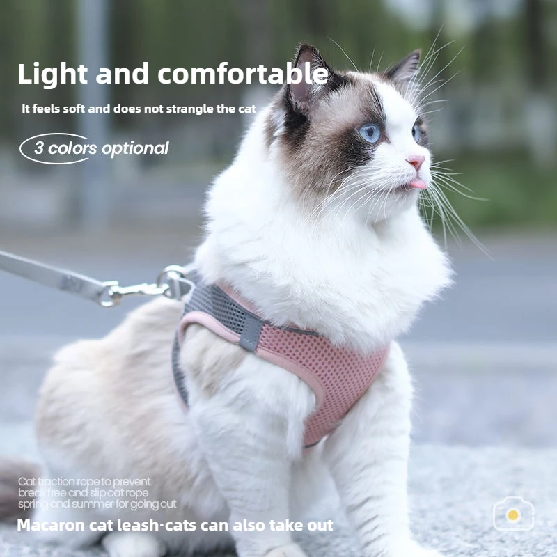 Adjustable Reflective Cat Collar & Leash Set – Comfortable Walking Vest 4