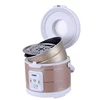 24V  Rice Cooker  Truck Soup Steamer Heating Lunch Box Meal Heater Warmer 3L Home Appliance for Camping Gold English Menu 4