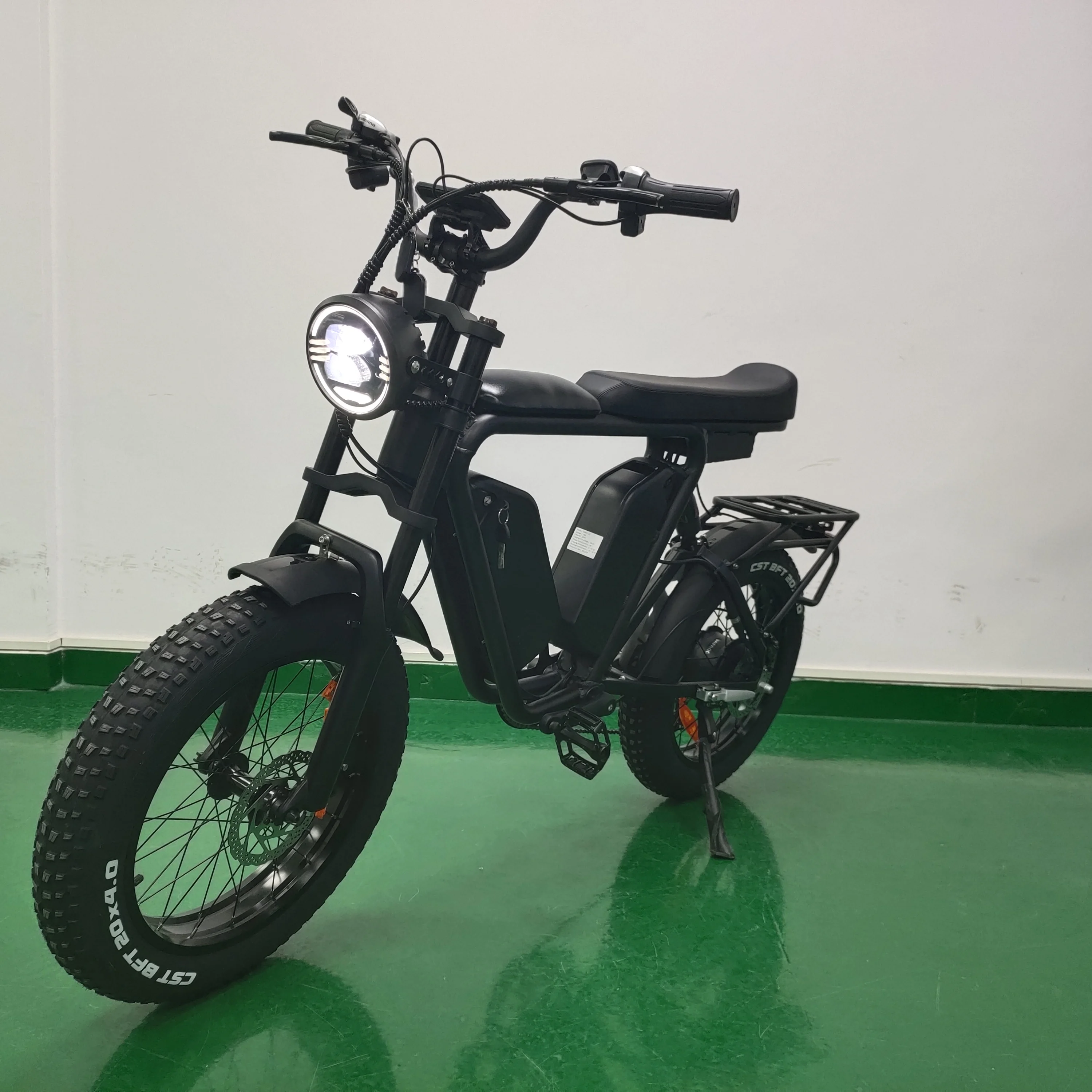 Long Range Electric EBike 22ah*2 Dual Batteries E Bike 1000w 48v Fat Tire Bicycle