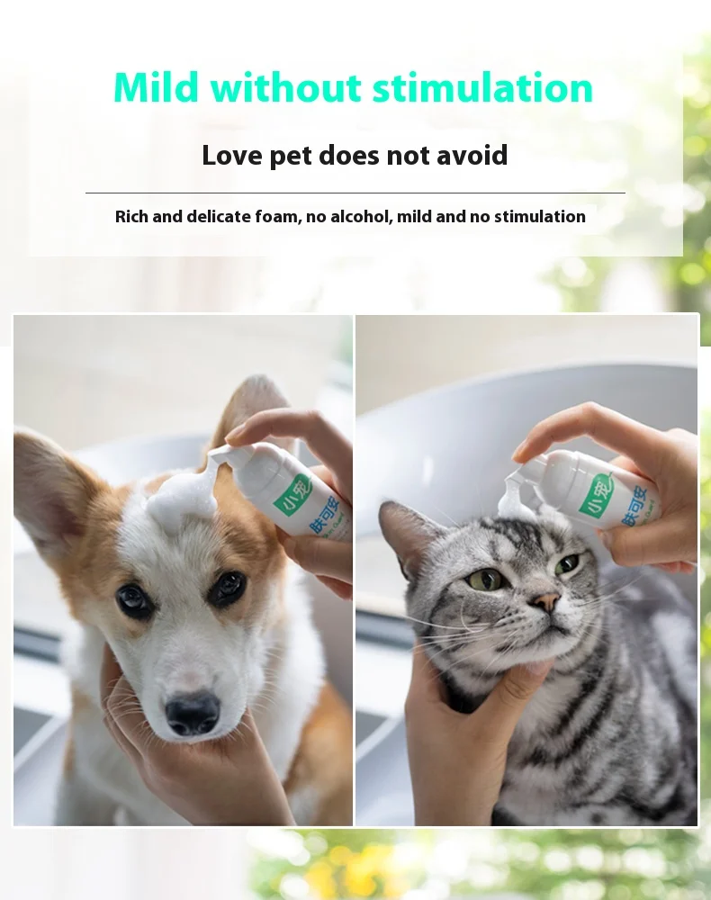 Kleines Haustier Katze Leave-In Schaum Haustier Hund saubere Desinfektion Katze sauber schwarz Daunenstange Öl Schwanz Körperwäsche, sauberes Bad – Detail 12