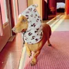 Winter Warm Pet Hat for Small Dogs Funny Puppy Cat Dog Costume Chihuahua Yorkies Cap Sombrero mascotas Accessories para cachorro 6