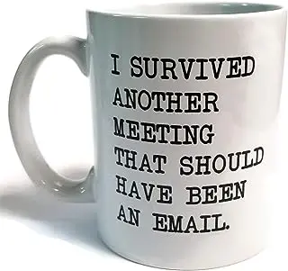 

I Survived Another Meeting That Should Have Been An Email 11 Ounces Funny White Coffee Mug Funny Inspirational and Sarcasm