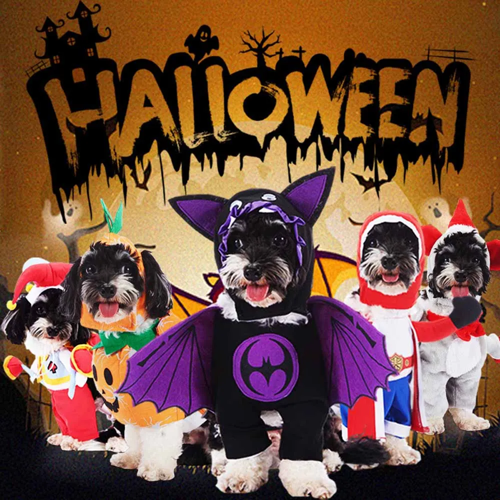 Halloween Pet Costume with Hat 2