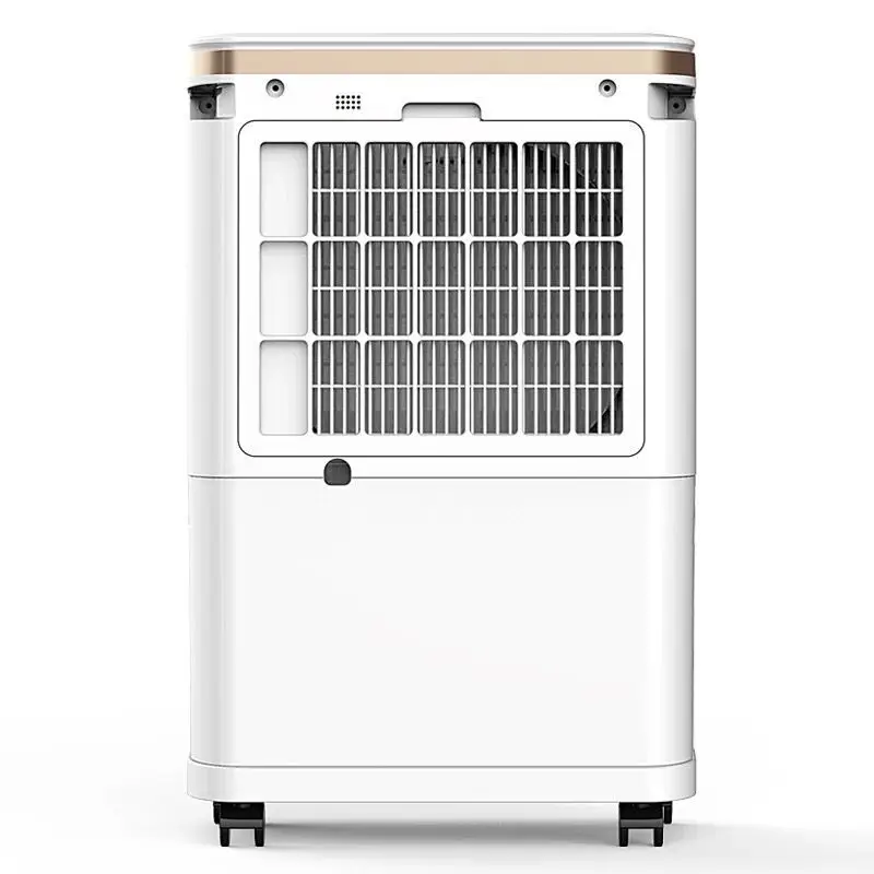 

ER-1201 осушитель воздуха 12L/D, домашний осушитель воздуха, бесшумный осушитель воздуха для виллы, подвала, осушитель влаги для сухой одежды