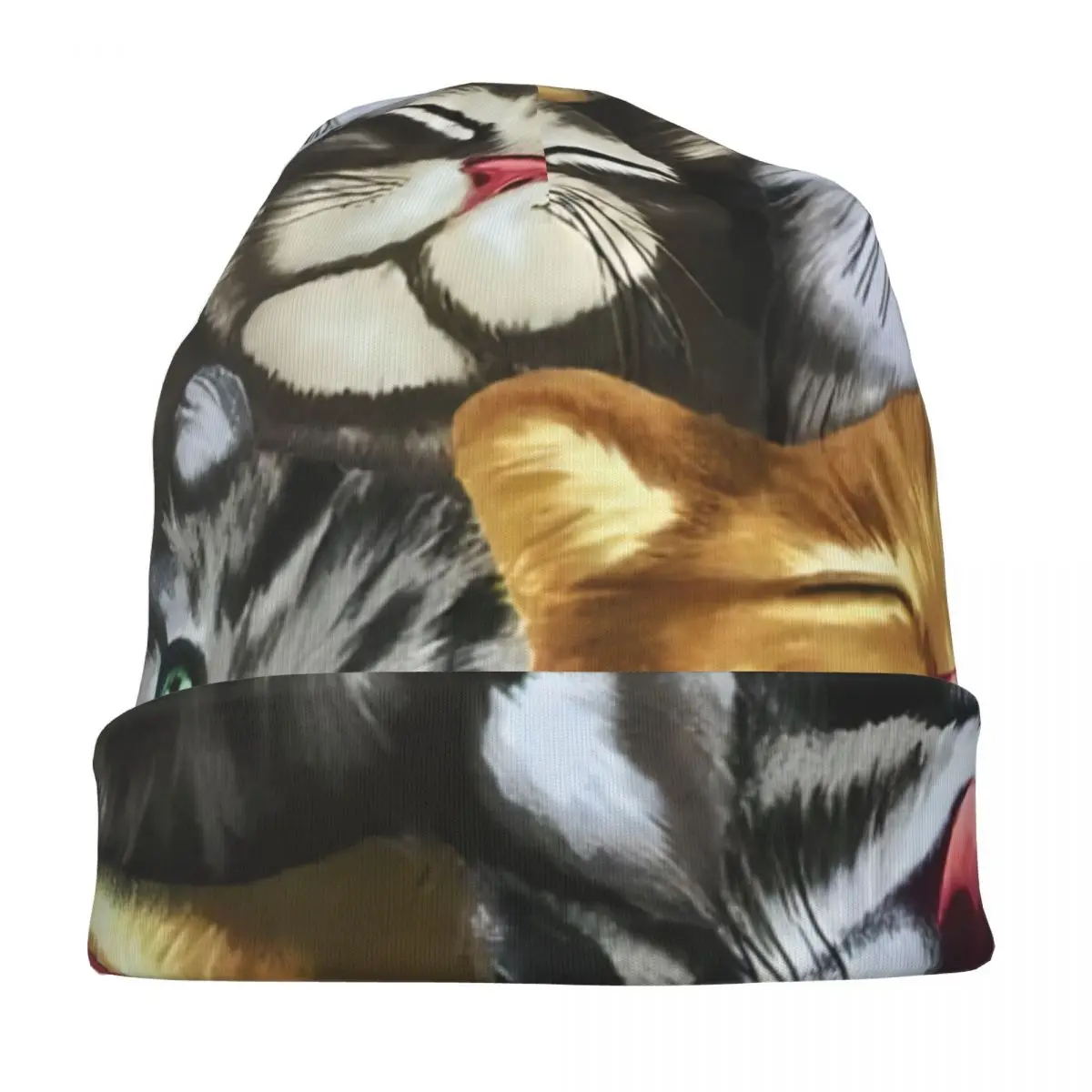 Рисунок 4 - Комикс, Милая зимняя вязаная шапка с рисунком кота