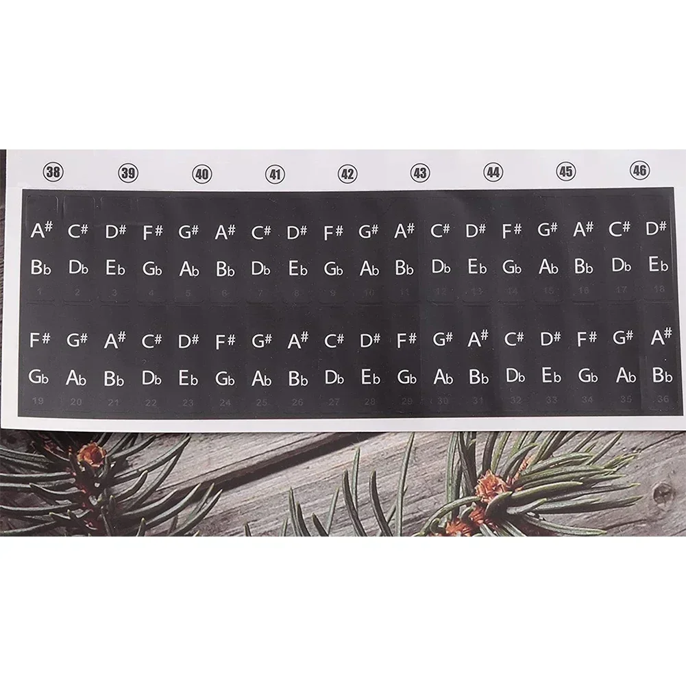 Piano Keyboard Sticker Note Beginner Colorful Transparent 22.7 * 24.6cm For 88 61 54 49 37Key Keyboard Stickers