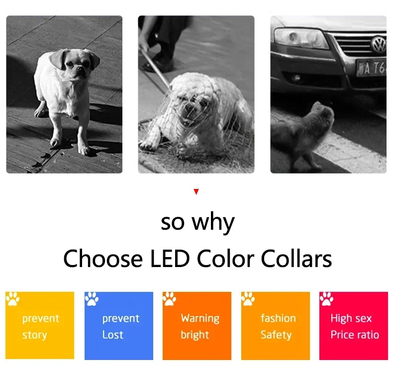 Description Picture 4 of itemLED Pet Collar Adjustable Waterproof Luminous Light Up Safety Dog Accessories Collar Programmable App Bluetooth USB Rechargeable
