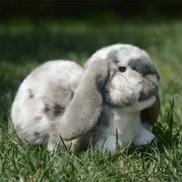 Lop Ear Rabbit High Fidelity Anime Cute White Brown Bunny Plush Toys Lifelike Animals Simulation Stuffed Doll Toy Gifts For Kids 1