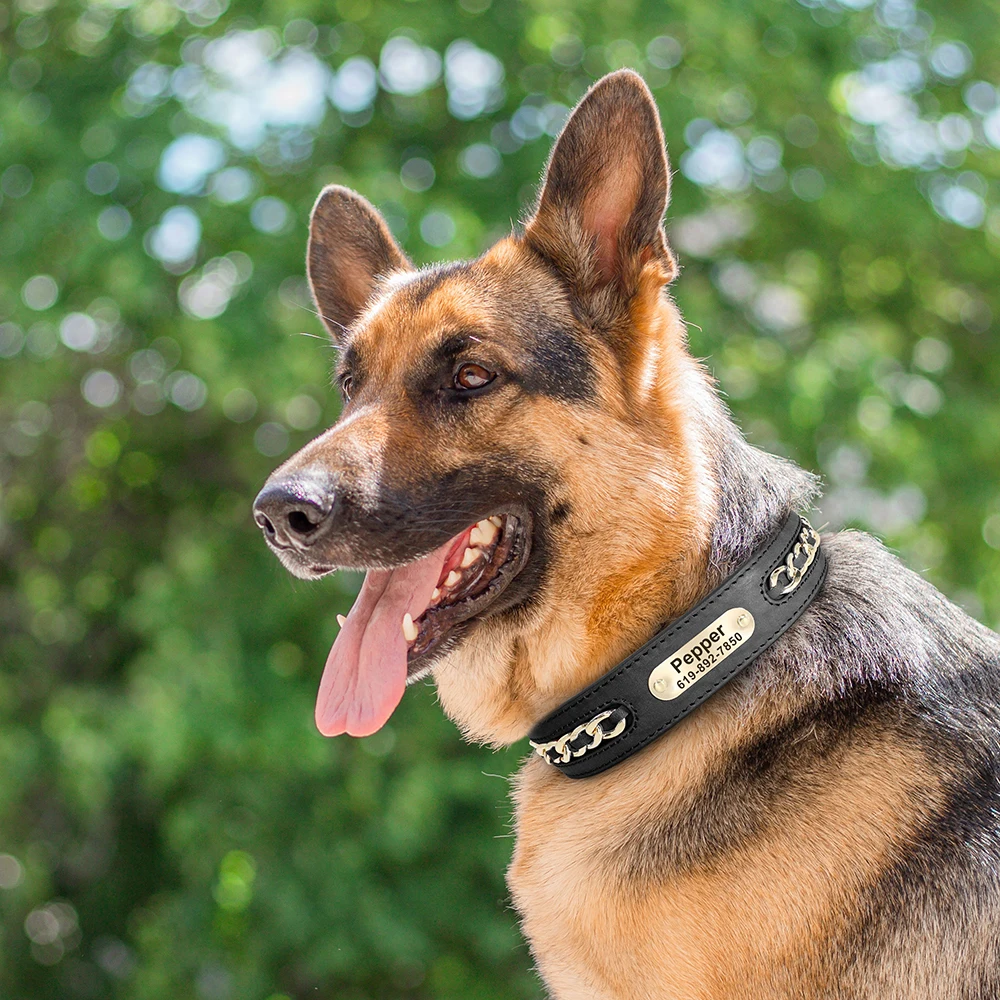 Custom Leather Dog Collar with ID 5