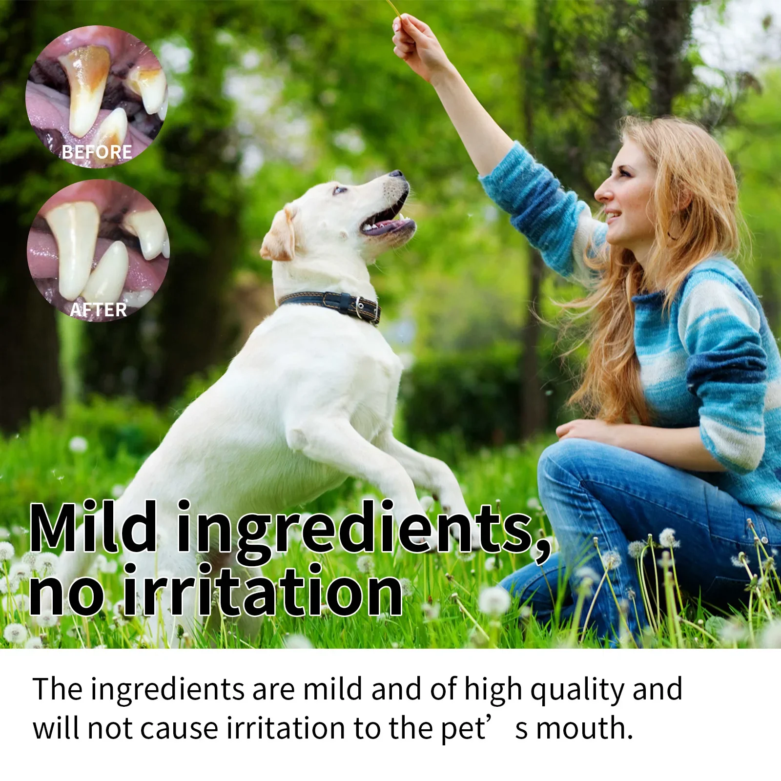 Yegbong Pet Mint Fresh Breath Spray, Cleansing Dog Mouth Odor Fresh Breath Care