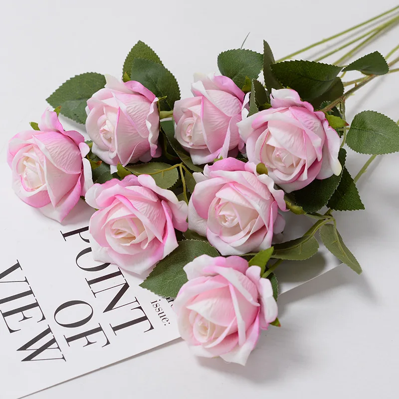 light pink rose