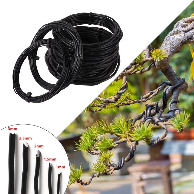 5/10M Bonsai Wire Plant Support Anodized Aluminum Bonsai Training Wire For  Plant Shape Garden Accessories 1/1.5/2/2.5/3mm 5 Szie - AliExpress
