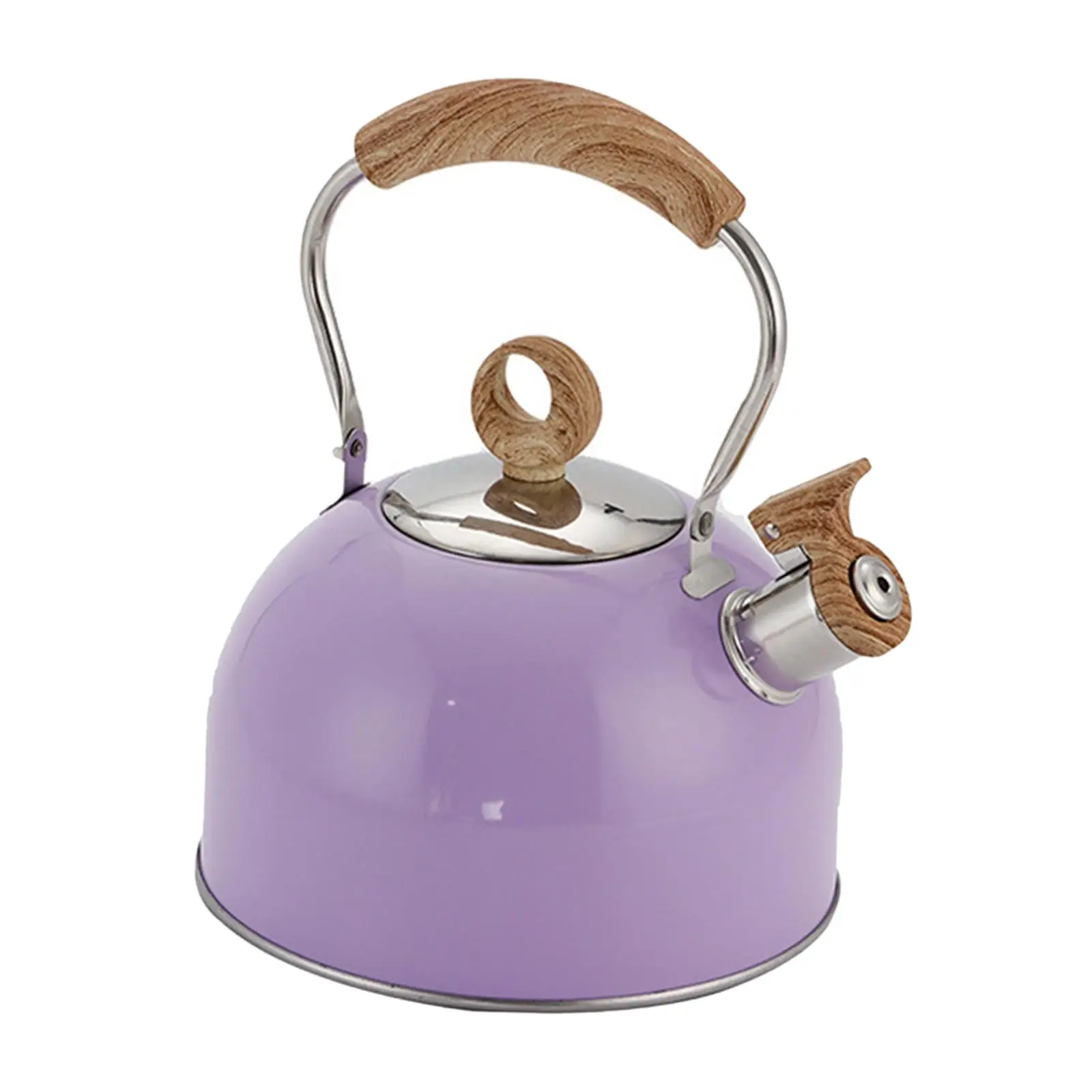 Whistling Tea Kettle for Stove Top 2.5L Stainless Steel Kettle with Heat Resistant Handle for Fast Boiling Coffee Milk and Tea