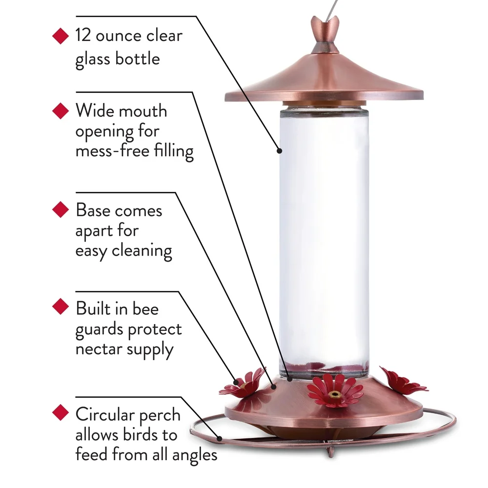 Elegant Copper Glass Hummingbird Feeder 12oz 4 Feeding Ports Wide Mouth Easy Clean Bee Guard Garden Decor bird feeder