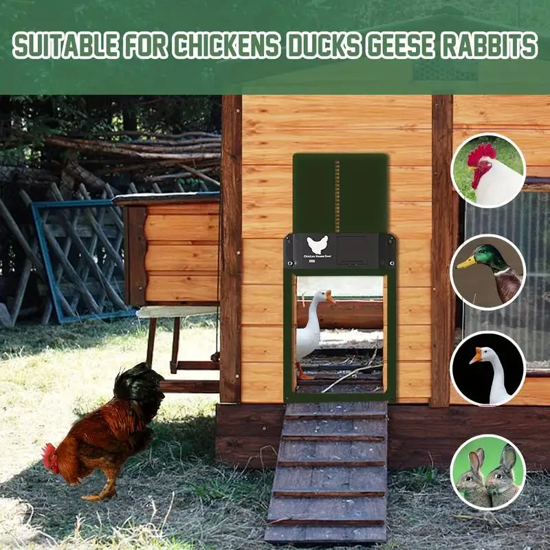 Automatic Chicken Coop Door Opener Upgrade ABS House Gate Sense Control Waterproof Pet Flap Accessories Battery Powered 6
