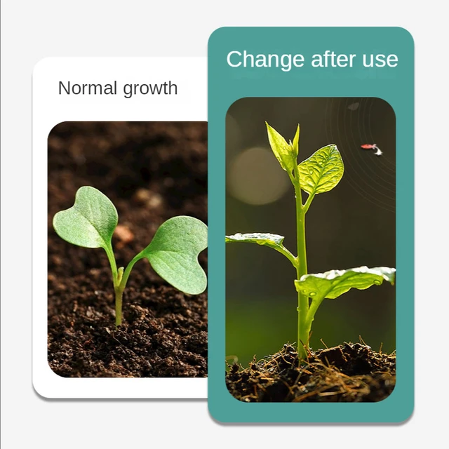 Talaj Aktivátor Aktivált Baosong Lényege Virág Műtrágya Ásványi Forrás Bacillus Mikrobiális Inokulum Baktérium -Műtrágya - Image 4