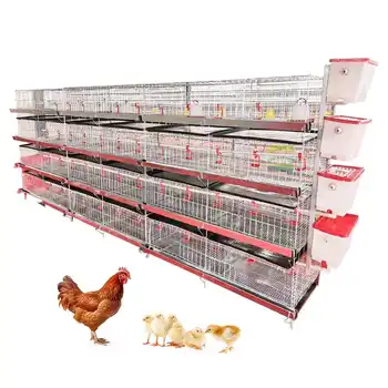 2024 New Product 3ply/4ply Hold 90/120 Chicken Automatic Pullet Chick Cage