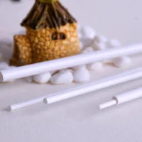 100Pcs Abs plastic tube Hollow Round Pipe Model Making Material Scenery Architectural Constructions 2/2.5/3/4/5/6mm DIY Material 2
