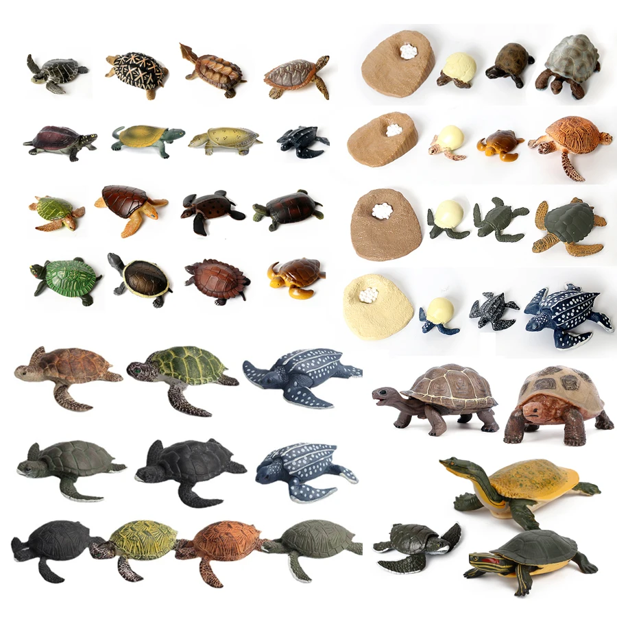 

Realistic Ocean Sea Creature Reptiles Sea Turtle Growth Cycle Tortoise Models Figurine Educational Toy Cake Toppers Gift for Kid