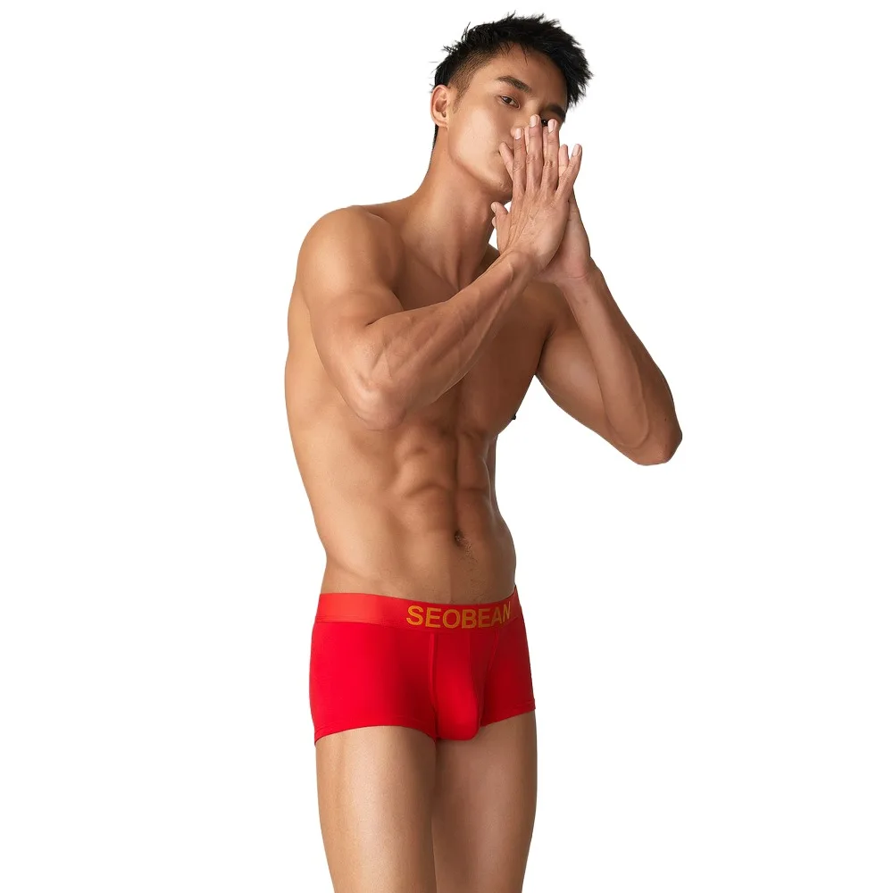 

SEOBEAN Men's Panties Sexy Cotton Soft Cotton Boxers Comfortable Breathable Underwear Teenagers Sports Underpants