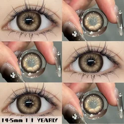 Vibrant Yearly Colored Contact Lenses - Natural Fashion Red & Blue (NANALAM - BROWN)