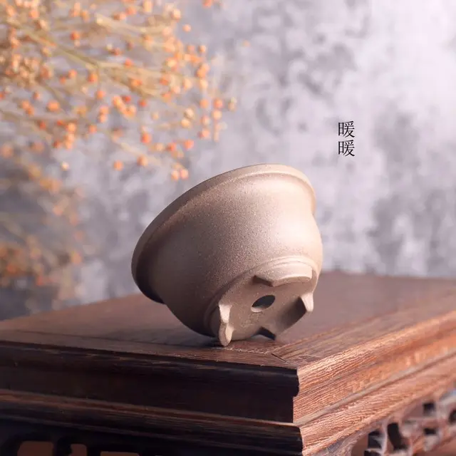 Lila Küldje El A Bonsai Pot Hagyományt Faragott Pozsgás Növények Kerti Dekoráció - Image 4