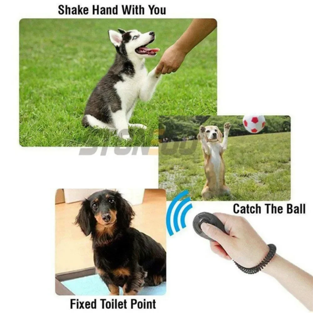 Pet Training Clicker Whistle 5