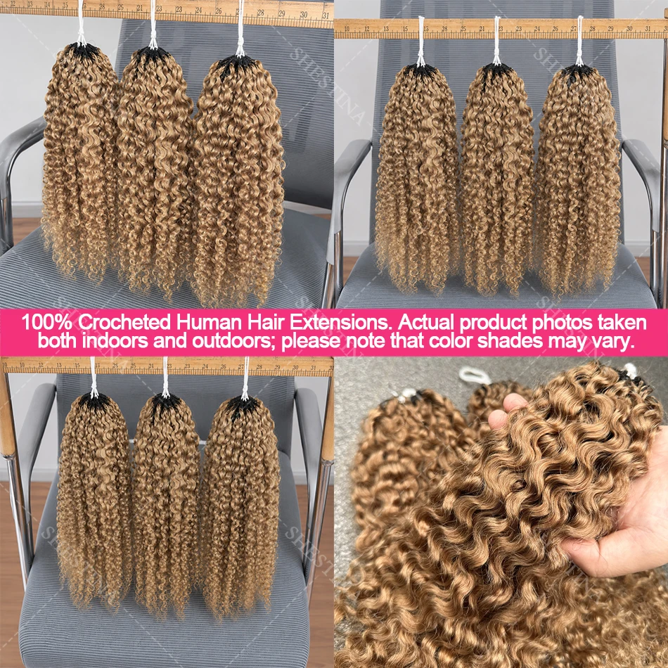 Honey Blonde Feather Crochet Human Hair Extensions Knotless Pre-Separated Pixie Curl Small Spirals Curly Crochet Hair for Boho 3