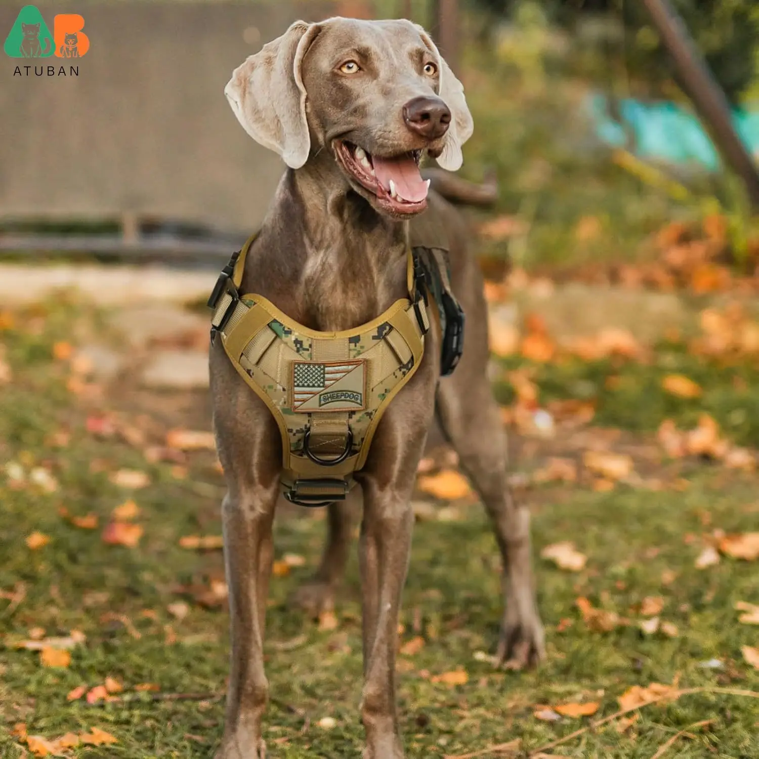 Labrador Tactical Vest Tactical Dog Harness For Large Dogs,Heavy