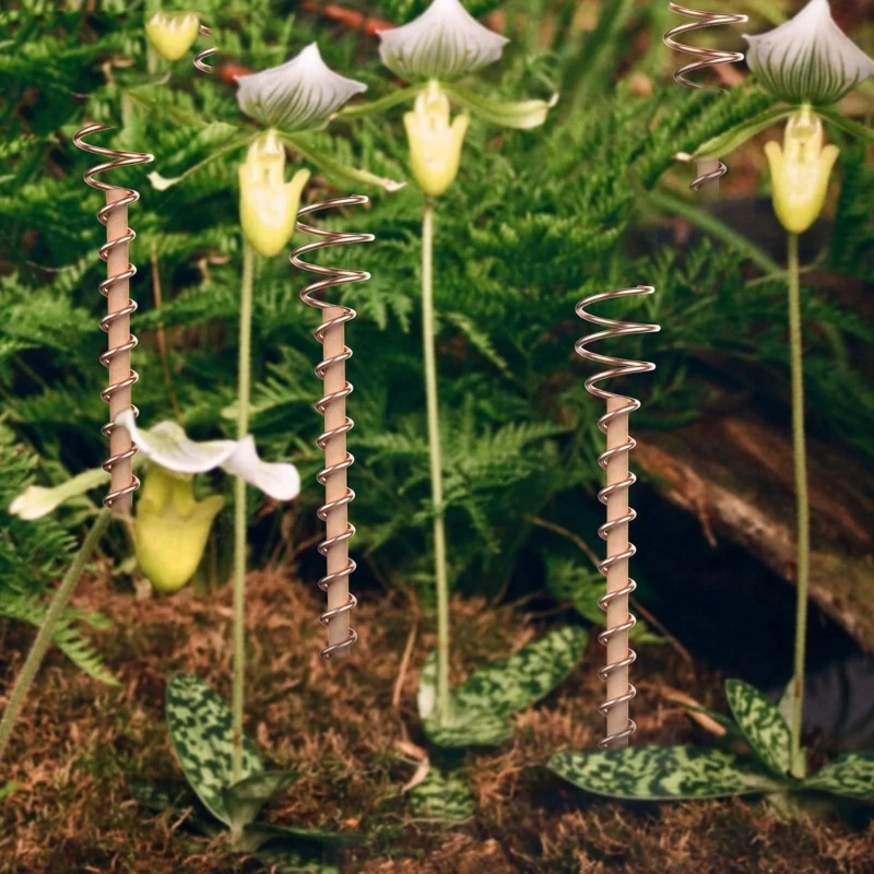 6/8/10Pcs Electroculture Plant Stakes 11.8'' Coppers Coils Antennas Garden Stakes Electronic Planting for Outdoor Indoor