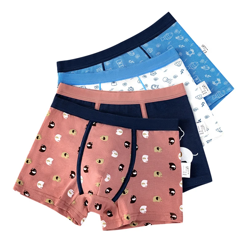 Boys Underwear 2Pcs Cotton Boxer for 2-14 Years