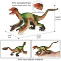 Neovenator