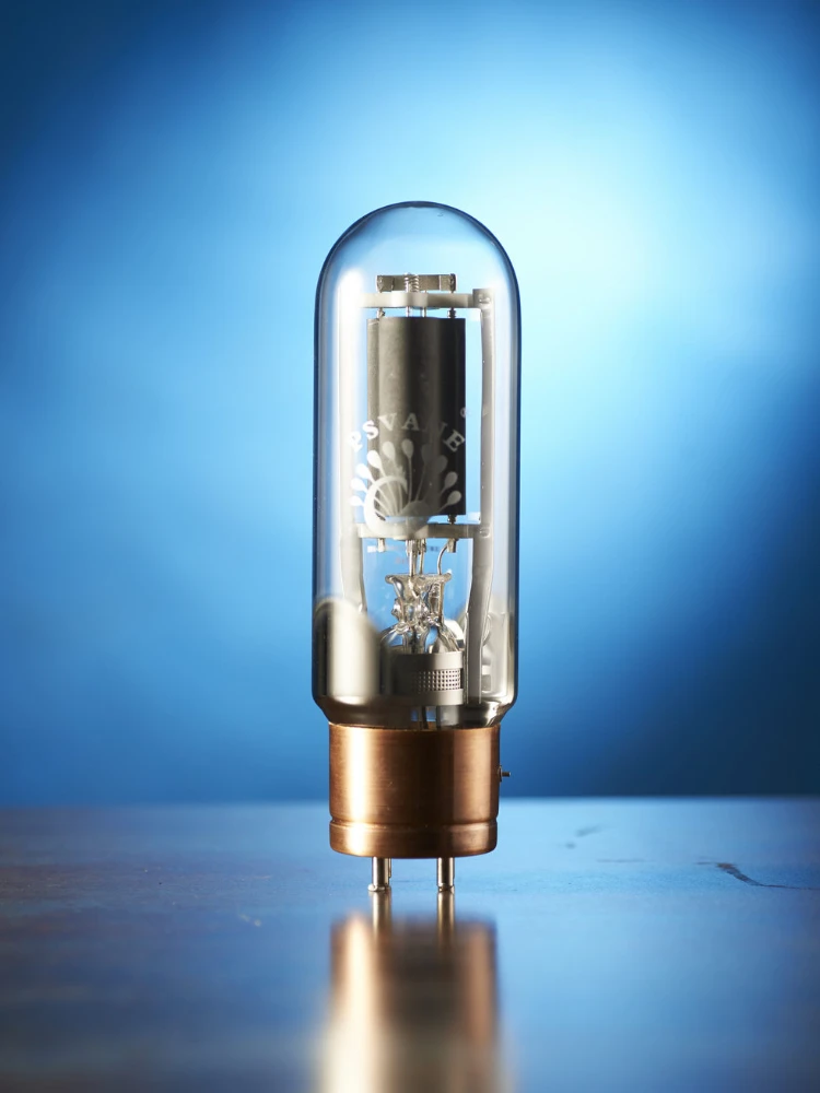 PSVANE 845B Vacuum Tube Instead of 845 845C 845-T WE845 Precision Matching Original Authentic for Vacuum Tube Amplifier 4