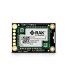 Nordic nRF52840 BLE Core Module for LoRaWAN with LoRa SX1262 | RAK4631 / RAK4631-R| RAKwireless 4