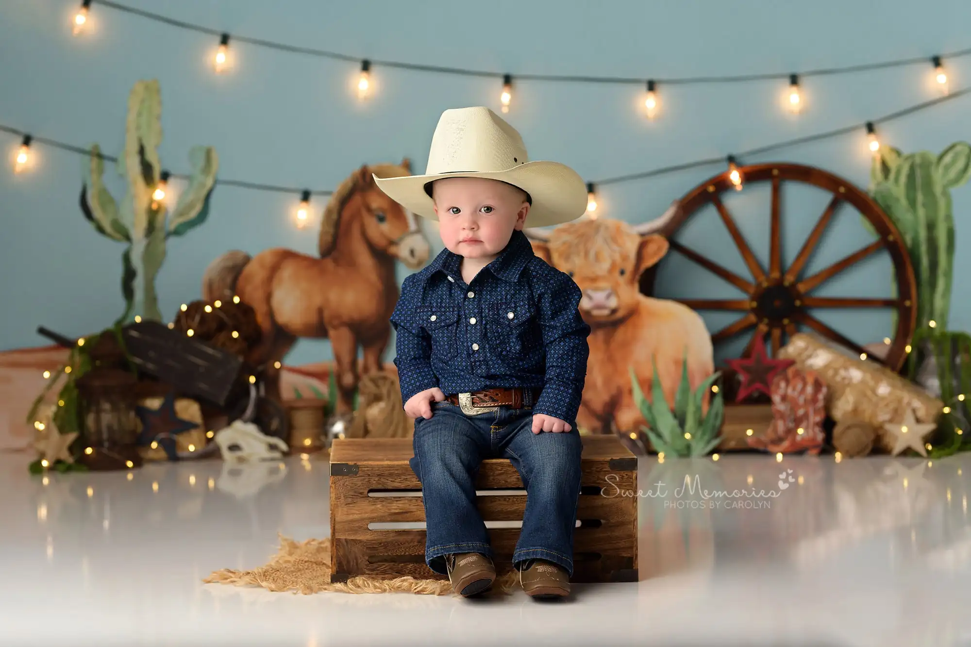Cowboy Backdrops Kids Baby Birthday Cake Smash Props Child Adult Photocall Cow Horse Photography Decors Background photo backdrop,photography auxiliary props