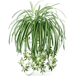 Artificial Chlorophytum Wall Hanging Decor - Lush Greenery 65cm (Green)