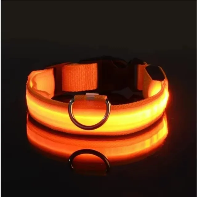 Nylon LED Night Safety Flashing Glow In The Dark Dog Leash Luminous Fluorescent Pet Collar Reflective Quick Release