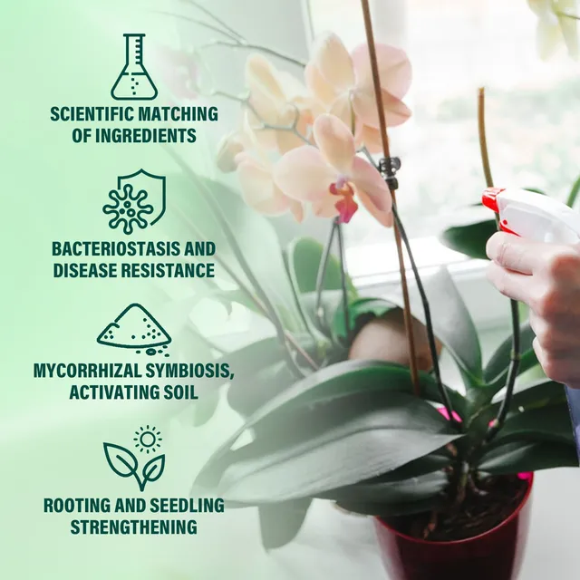 Orchideák Növényi Koncentrált Tápanyag -Oldat Növekedés Fokozó Táplálkozás Kiegészítő Gyökérzetű Folyadék - Image 5