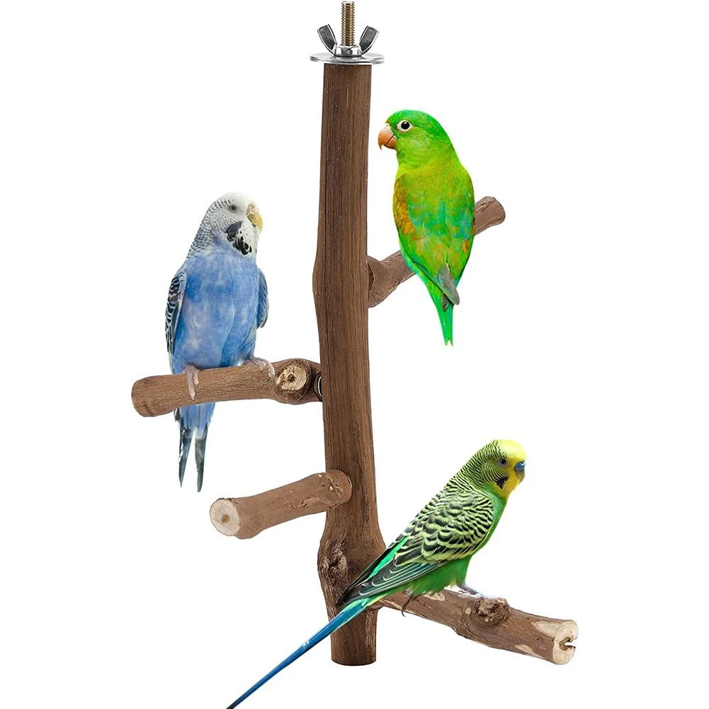 opmerking haat Werkloos Papegaai Natuurlijke Houten Baars Stand Kauwen Speelgoed Vogelkooi  Accessoires Voor Parkieten Valkparkieten Lovebirds| | - AliExpress