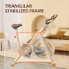 Indoor Fitness Exercise Equipment Cycle Machine Exercise bike 6