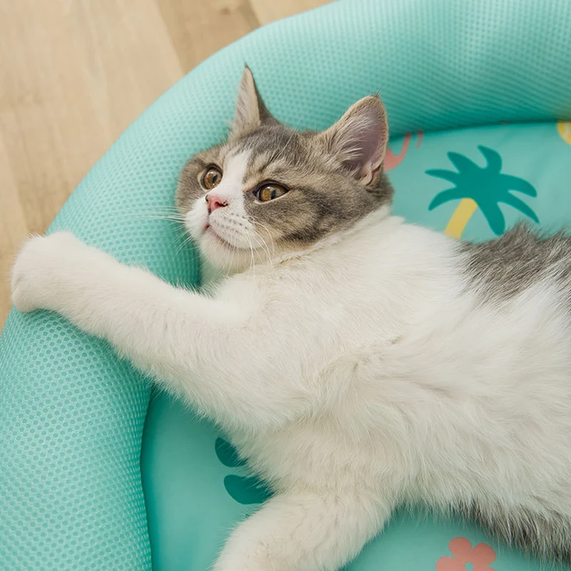 S63684b7649b541169e70e2ba20473cc7d