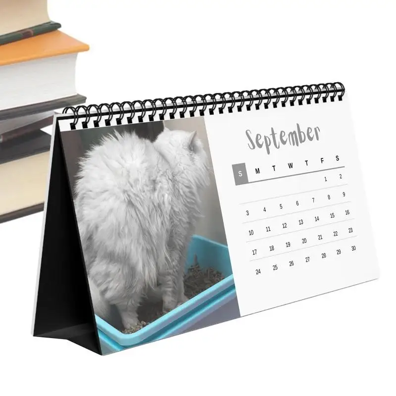 

Fun Wall Calendar 2024 Creative Pooping Cat Calendar Funny Gag Gift Wall Decor For School Dormitory Hotel Classroom Home