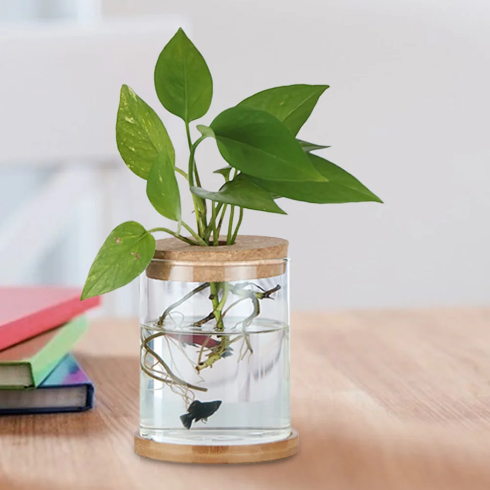 6 Pcs Hydroponic Vase Cork Lid Transparent Glass Mini Landscape Terrarium Bottle Stopper for Wall Hanging Desk Shelf Plant 2