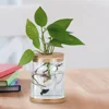 6 Pcs Hydroponic Vase Cork Lid Transparent Glass Mini Landscape Terrarium Bottle Stopper for Wall Hanging Desk Shelf Plant 2