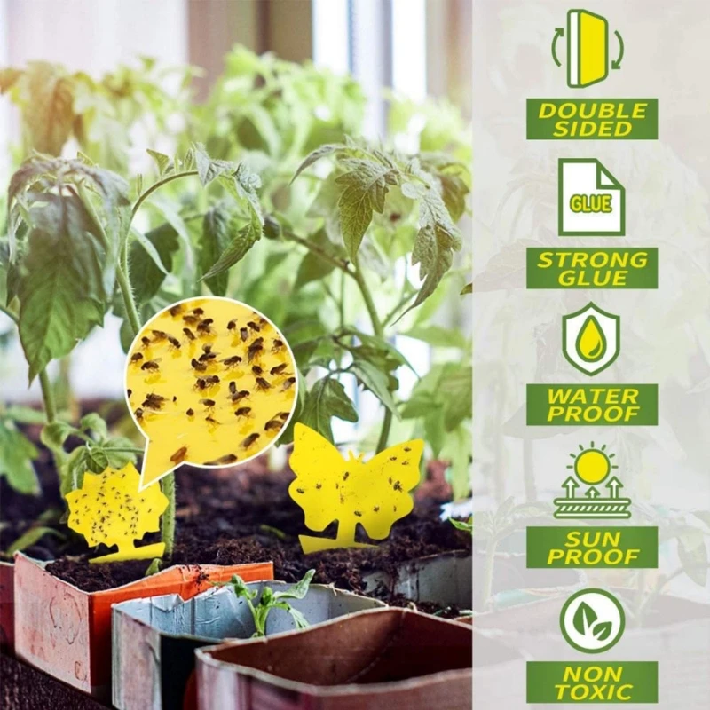 https://ae01.alicdn.com/kf/S637118413c7e470085ea3b3b0cec103fz/48Pcs-Yellow-Sticky-Insect-Traps-Dual-Sided-Sticky-Fruit-Fly-Trap-Houseplant-Gnats-Traps-Indoor-Fruit.jpg