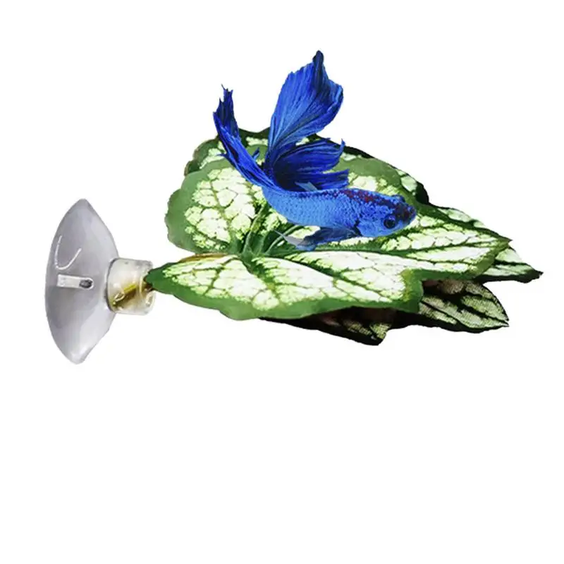 Pad Foglia Per Betta Fish Betta Leaf Bed Betta Leaf Simulazione Dell'Habitat Naturale Per Acquario In Vetro Acquario Marino Aquascape
