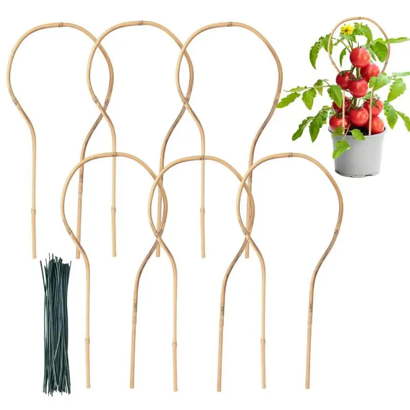 

Mini Bamboo Trellis 6Pcs Shaped Trellis For Climbing Plants Indoor Indoor Outdoor Plant Trellis Decorate Plant As Christmas Tree