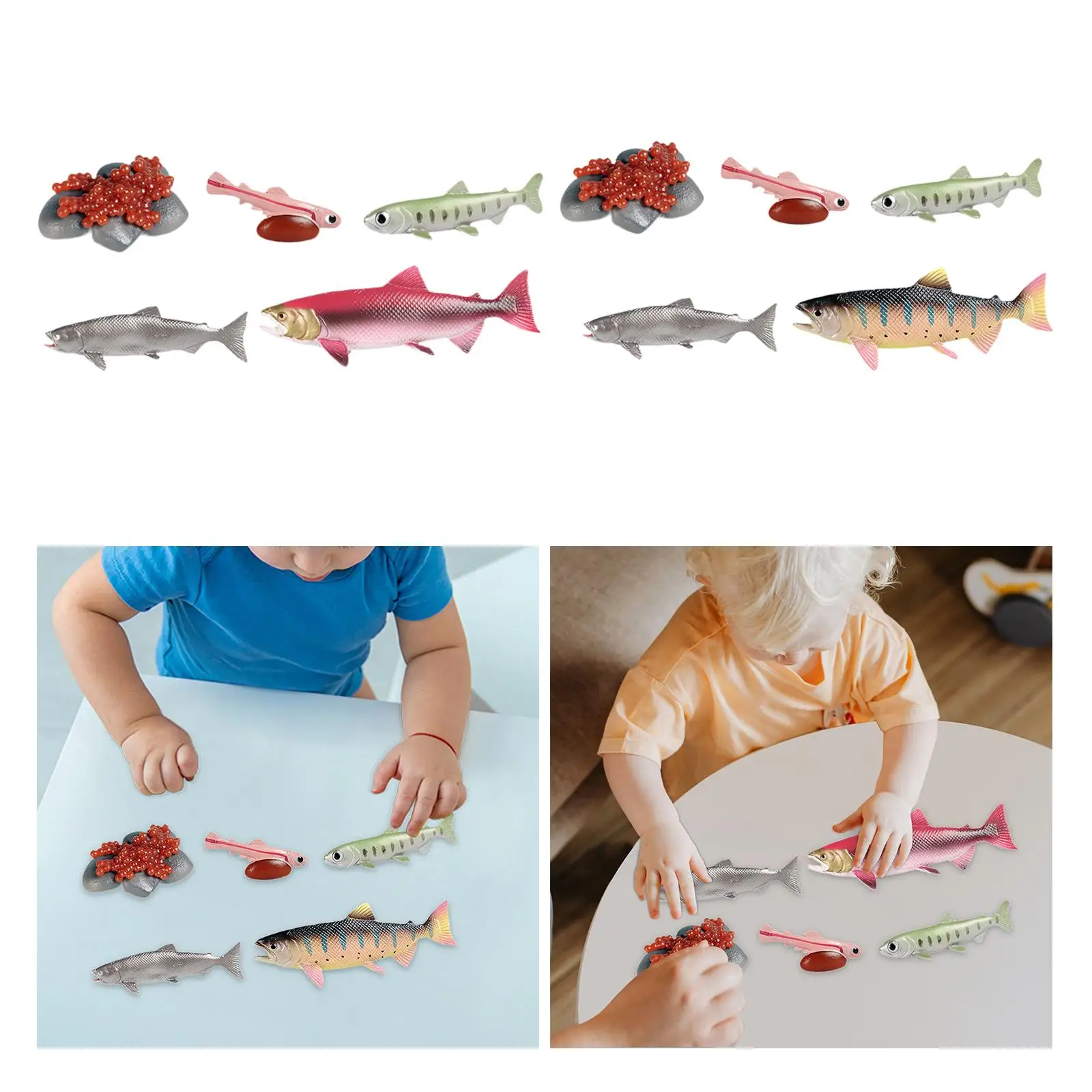 Life Cycle of Salmon Toys Teaching Tools Farm Animals Figurines for Storytelling Presentations Daycare Role Play Birthday Gifts 3